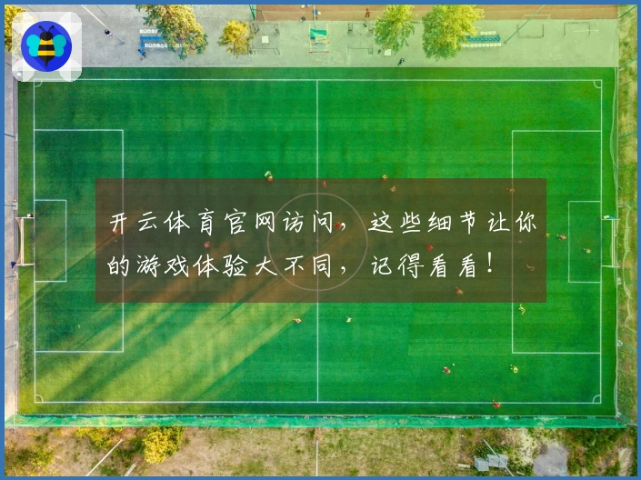 开云体育官网访问，这些细节让你的游戏体验大不同，记得看看！