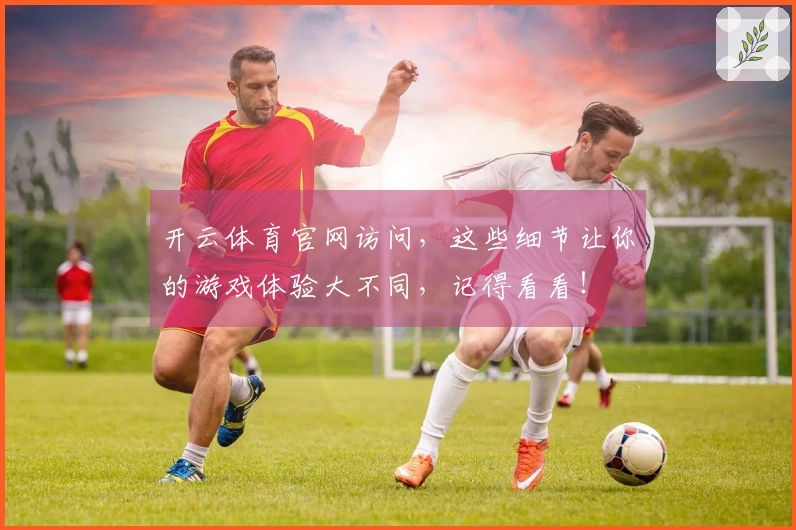 开云体育官网访问，这些细节让你的游戏体验大不同，记得看看！